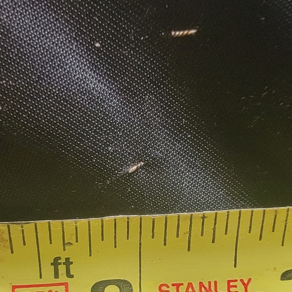 Authentic Starter Jacket - Picture 14 of 14